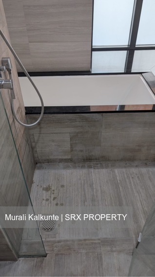Cityscape @ Farrer Park (D8), Condominium #566901331